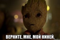  верните, мне, мой ниней.