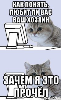 как понять, любит ли вас ваш хозяин зачем я это прочёл