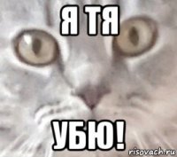 я тя убю!
