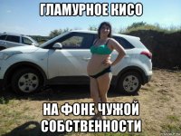 гламурное кисо на фоне чужой собственности