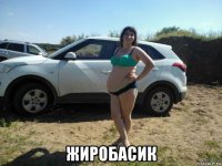  жиробасик