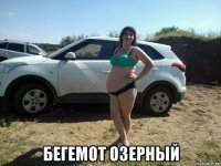  бегемот озерный