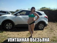  упитанная обезьяна
