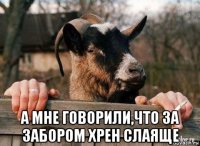  а мне говорили,что за забором хрен слаяще