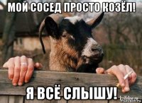 мой сосед просто козёл! я всё слышу!