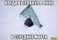 когда выглянул в окно в середине марта