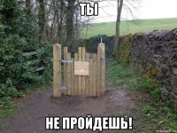 ты не пройдешь!