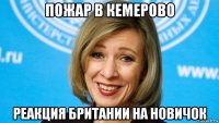 пожар в кемерово реакция британии на новичок