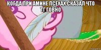 когда при амине псехах сказал что тг говно 