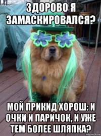 здорово я замаскировался? мой прикид хорош: и очки и паричок, и уже тем более шляпка?