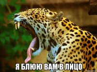  я блюю вам в лицо