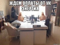 ждем оплаты от ук энергия 