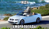 жду у моря погоды