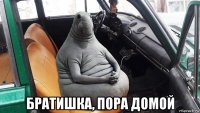  братишка, пора домой