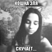 кошка эля скучает....