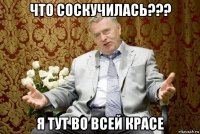 что соскучилась??? я тут во всей красе