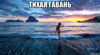 тихая гавань 