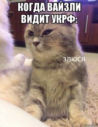 когда вайзли видит укрф: 
