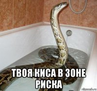  твоя киса в зоне риска