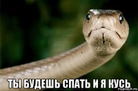  ты будешь спать и я кусь