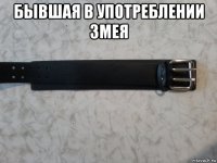 бывшая в употреблении змея 