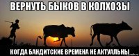 вернуть быков в колхозы когда бандитские времена не актуальны