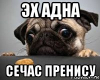 эх адна сечас пренису