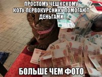 простому чешкскому коту-первокурснику помогают деньгами больше чем фото