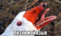  лизни мой язык