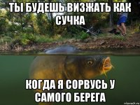 ты будешь визжать как сучка когда я сорвусь у самого берега