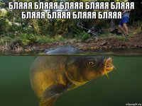 бляяя бляяя бляяя бляяя бляяя бляяя бляяя бляяя бляяя 