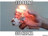 230 вольт это норма