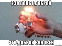 230 вольт доброй это доброй виновен