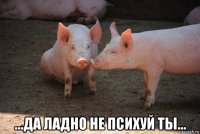  ...да ладно не психуй ты...