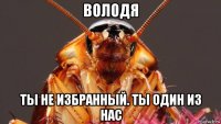 володя ты не избранный. ты один из нас