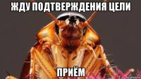 жду подтверждения цели приём