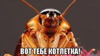  вот тебе котлетка!