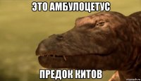 это амбулоцетус предок китов