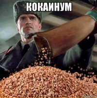 кокаинум 
