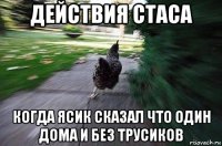 действия стаса когда ясик сказал что один дома и без трусиков