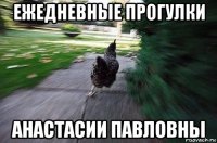 ежедневные прогулки анастасии павловны
