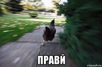 правй