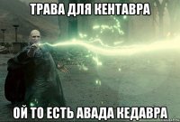 трава для кентавра ой то есть авада кедавра