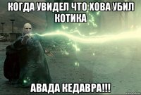 когда увидел что хова убил котика авада кедавра!!!