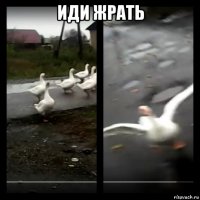 иди жрать 