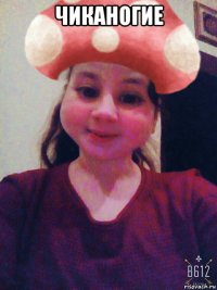 чиканогие 