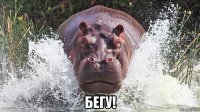  бегу!