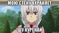 мою стену охраняет шу куренай