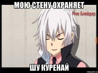 мою стену охраняет шу куренай