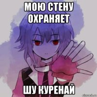 мою стену охраняет шу куренай